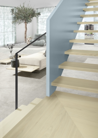 Rampe pleine- Limon main courante